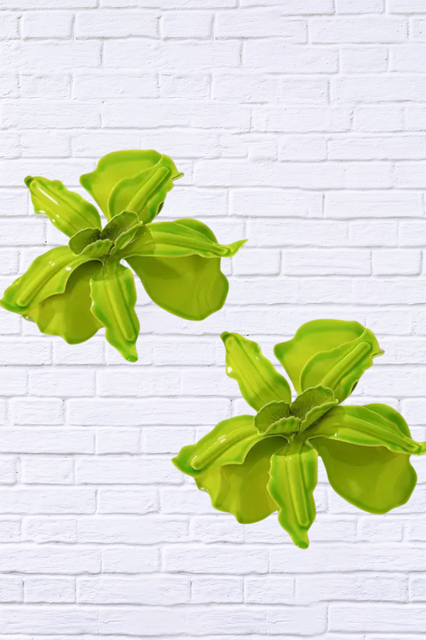 Lime Lily