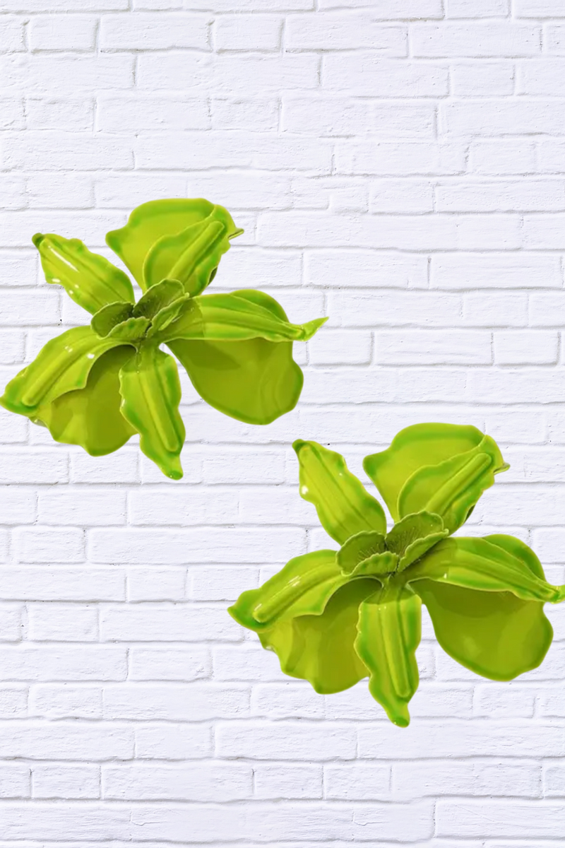Lime Lily