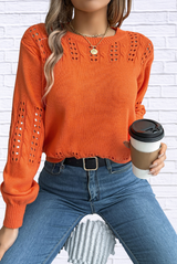 Hollow Out Eyelet Long Sleeve Sweater