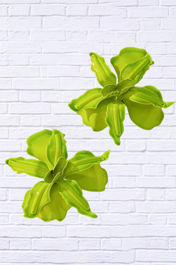 Lime Lily