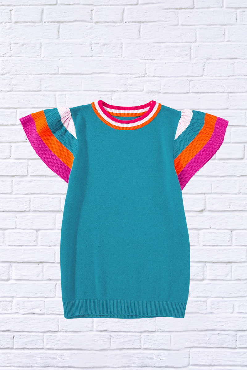 Color Block Round Neck Knit Top With Frill Sleeve